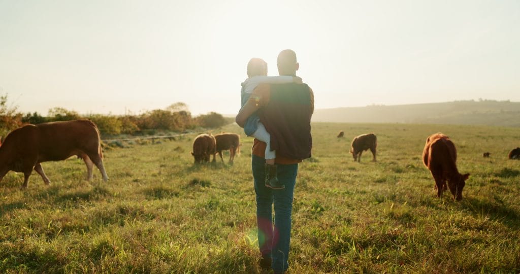 A father and child overlooking cattle on a farm