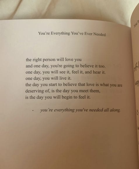 Passage from "Everything You've Ever Needed" that hits home with a lot of RelationshipTok. 