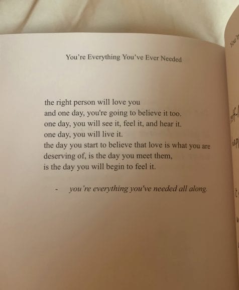 Passage from "Everything You've Ever Needed" that hits home with a lot of RelationshipTok.