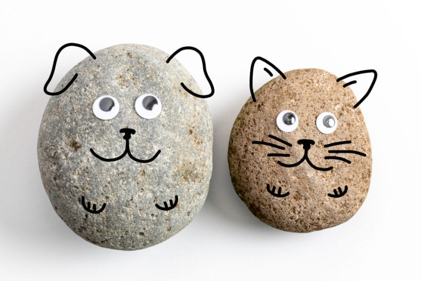 Two rocks with pet faces drawn on them.