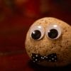 A pet rock with eyes and a bowtie