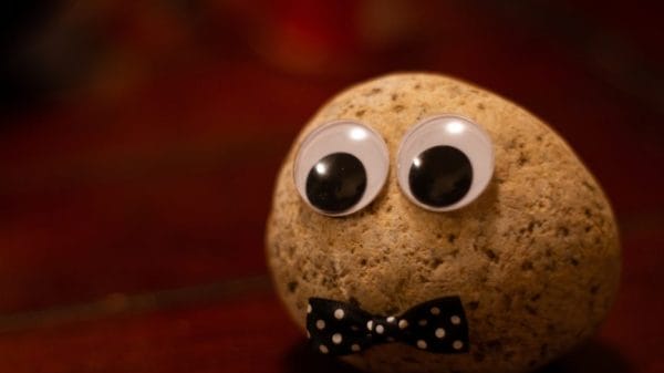 A pet rock with eyes and a bowtie