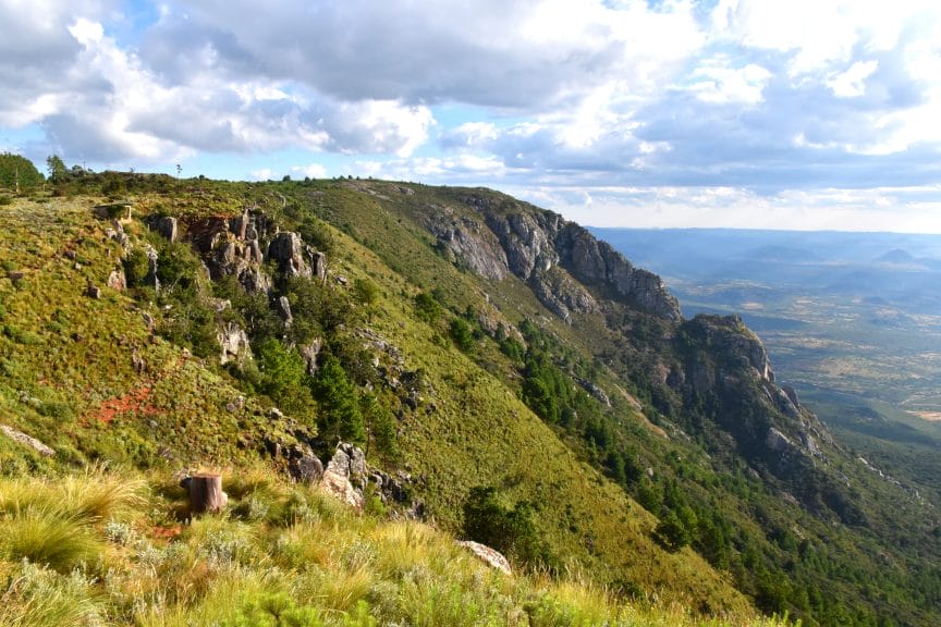 Nyanga Is Reminiscent Of The Scottish Highlands