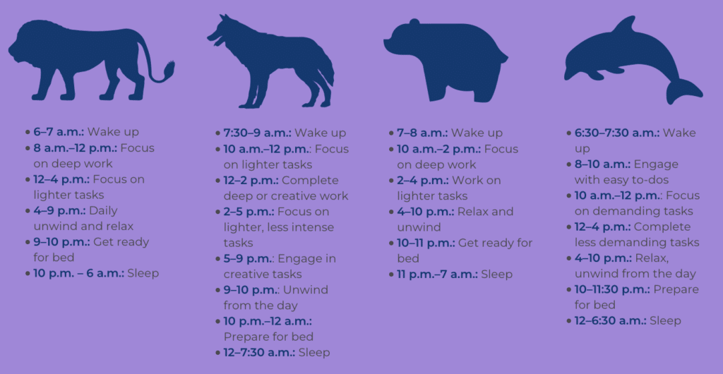 The four chronotypes (lion, wolf, bear, and dolphin) in respective order, along with recommended daily sleep/wake schedules for each. Navy blue animals and text on light purple background.