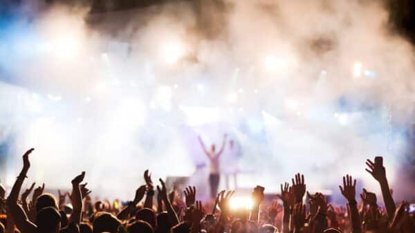 Audience at a music festival