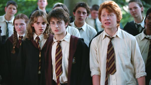 Harry, Ron Hermione and friends stare at something in front of them whilst in the woods.