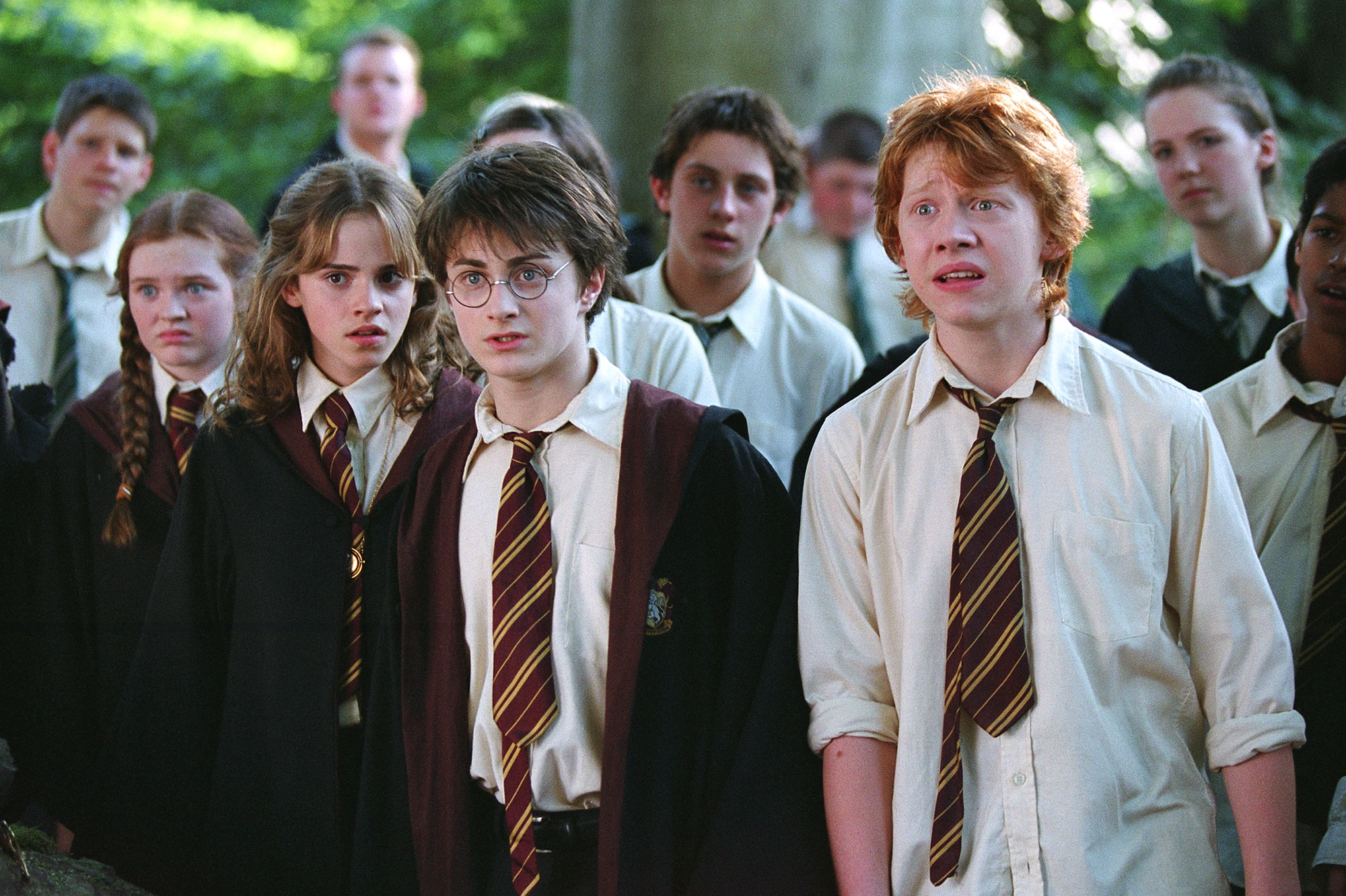 Harry, Ron Hermione and friends stare at something in front of them whilst in the woods.