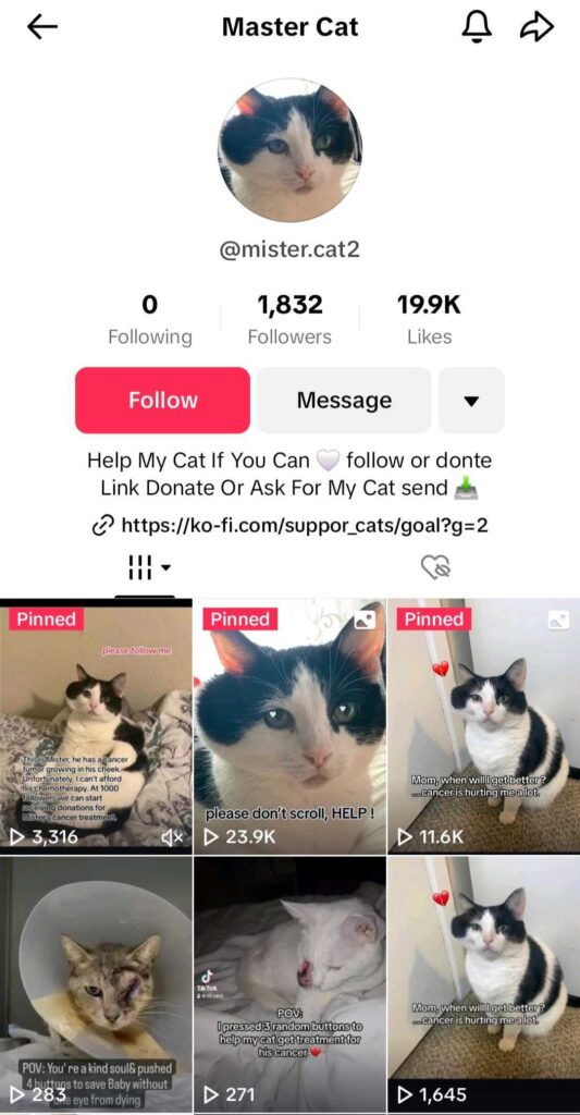 Screenshot of an alleged scam account on TikTok.