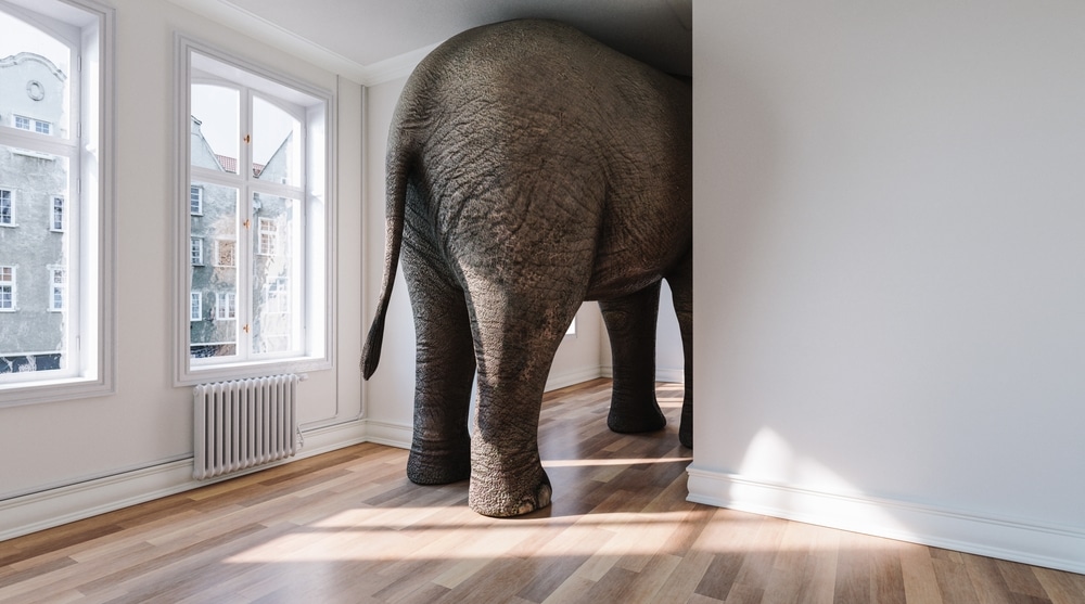 Elephant in the corner of the room