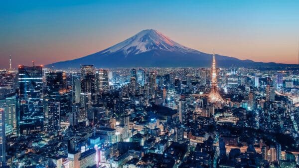 Tokyo City viewed from high up at sunset, Japan