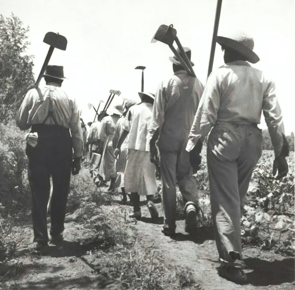 These cotton hoers work from 6 a.m. to 7 p.m. for $1.00 near Clarksdale, Mississippi, June-July 1937.