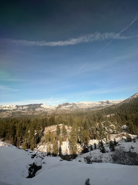 Snow capped mountains in the distance, with trees near the train window. Open blue sky.