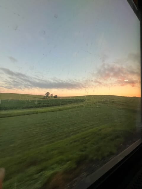 Open meadow at sunrise. A few trees in the distance.