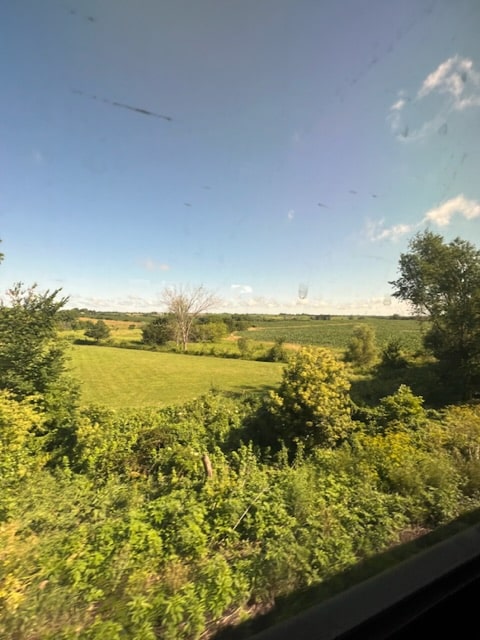Open valley, field, orchard in the sun. Green everywhere. Open blue sky.