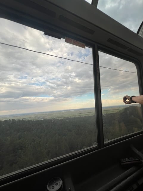 Open valley through train window. Cloudy sky, with many trees in the distance. A hand in the corner points to something in the distance.