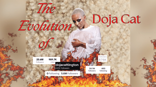 Doja Cat standing gin front of flames and several of her follower counts.