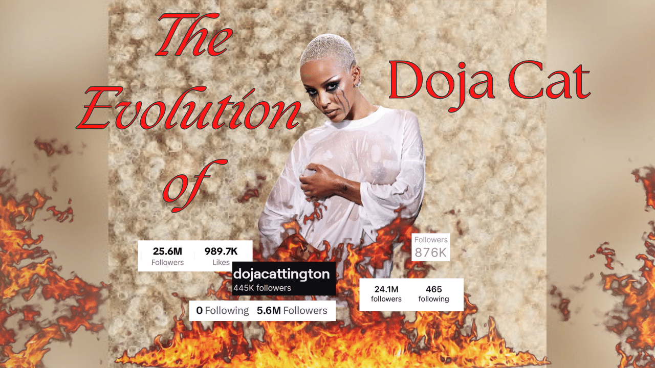 Doja Cat standing gin front of flames and several of her follower counts.