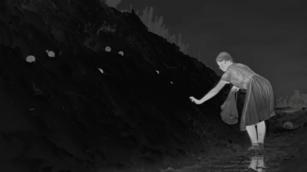 A negatively-coloured screenshot from the movie 'Zone of Interest.' A girl is putting apples in a muddy bank in the middle of the night.