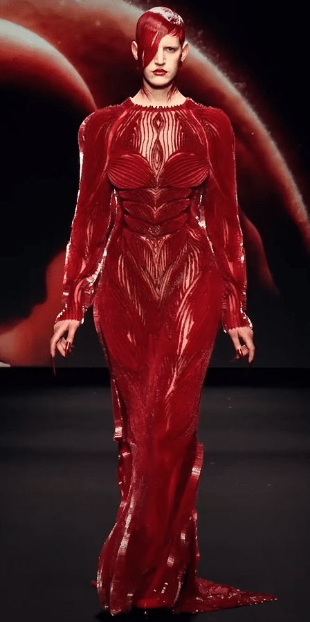 A dress that looks like it is made of red blood veins.
