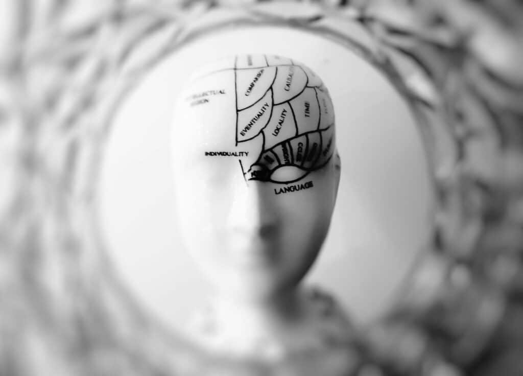 forward-facing shot of a mannequin head with a drawn on diagram of the areas of the brain responsible for different emotions