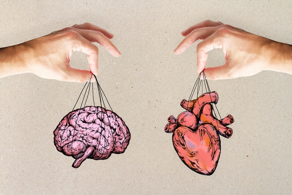A heart and brain paper cutout held up by two hands