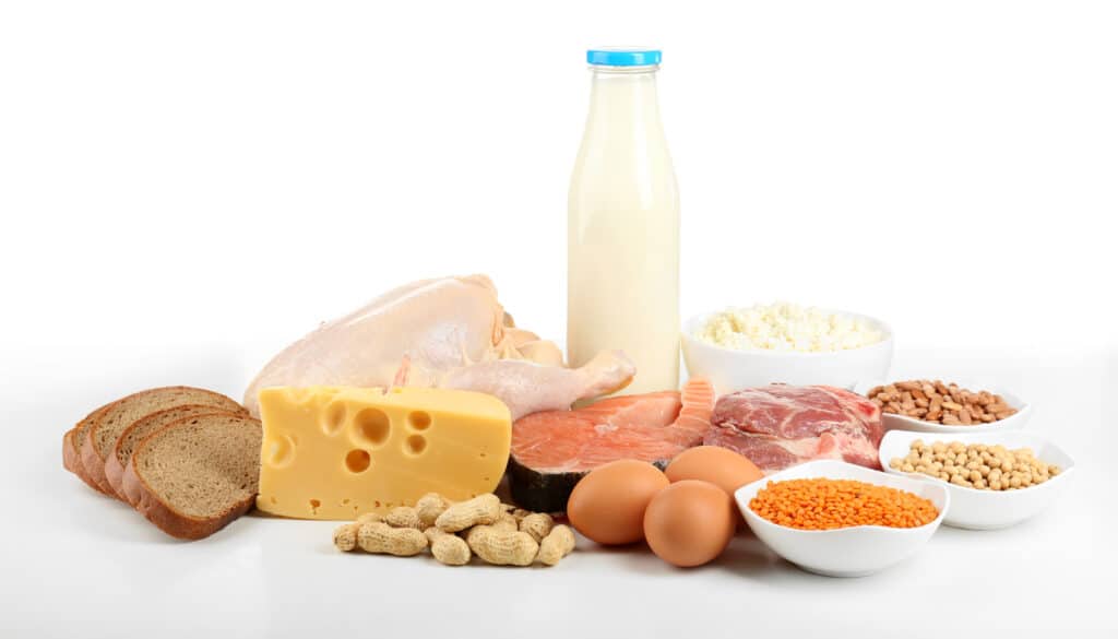 Meats, cheeses, milk, eggs, bread and legumes on a white background.