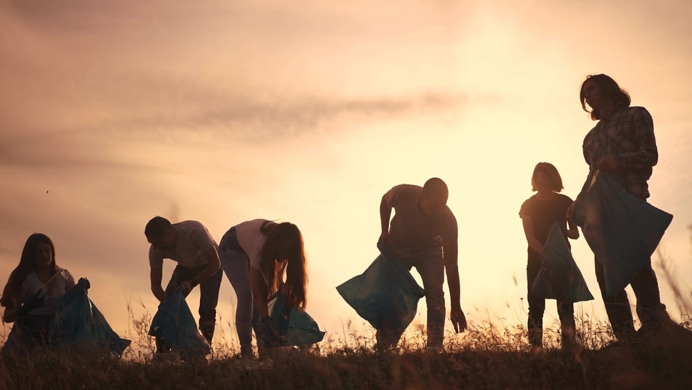 A group of people collecting rubbish.