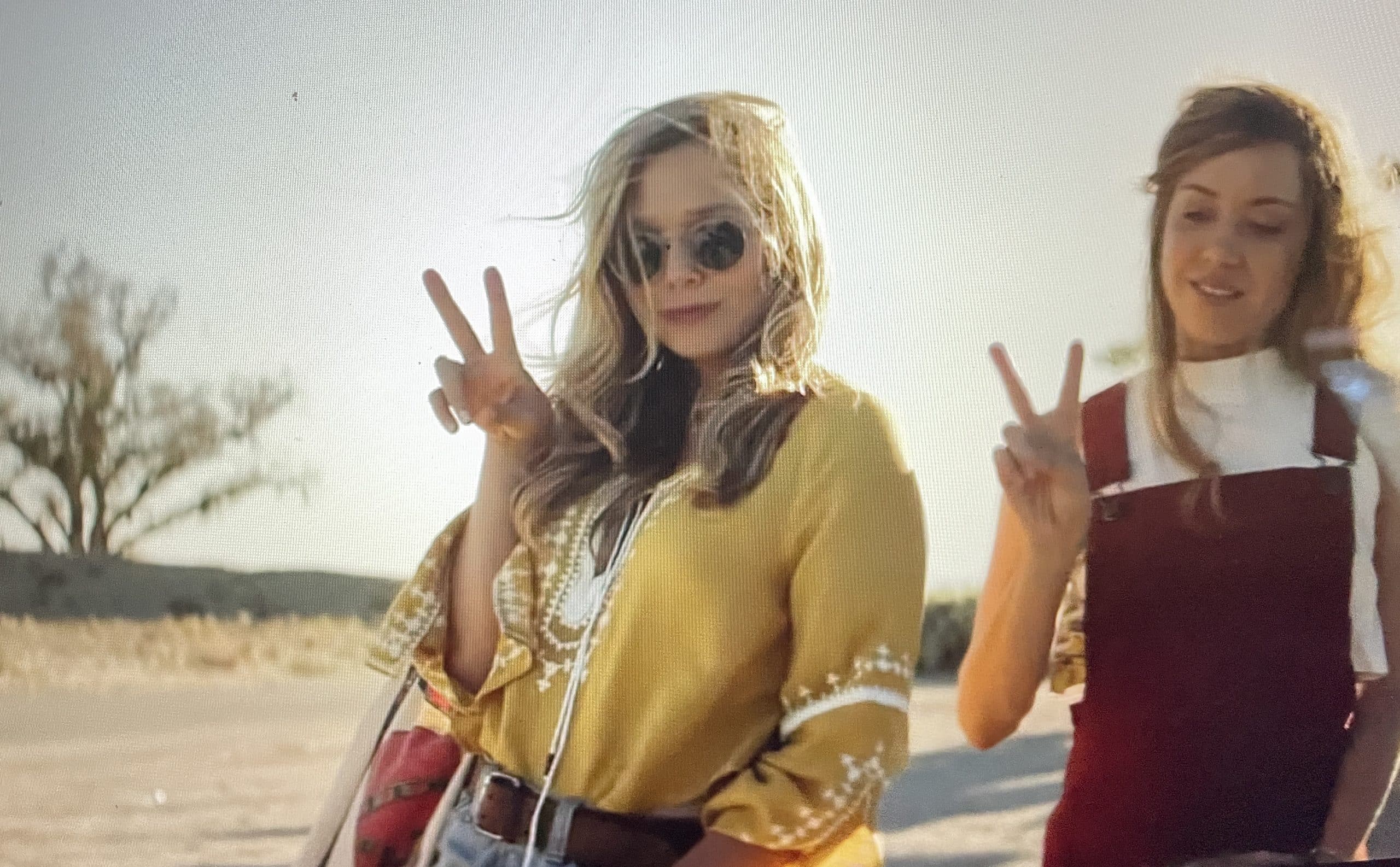Aubrey Plaza and Elizabeth Olsen, Ingrid Goes West (2017)