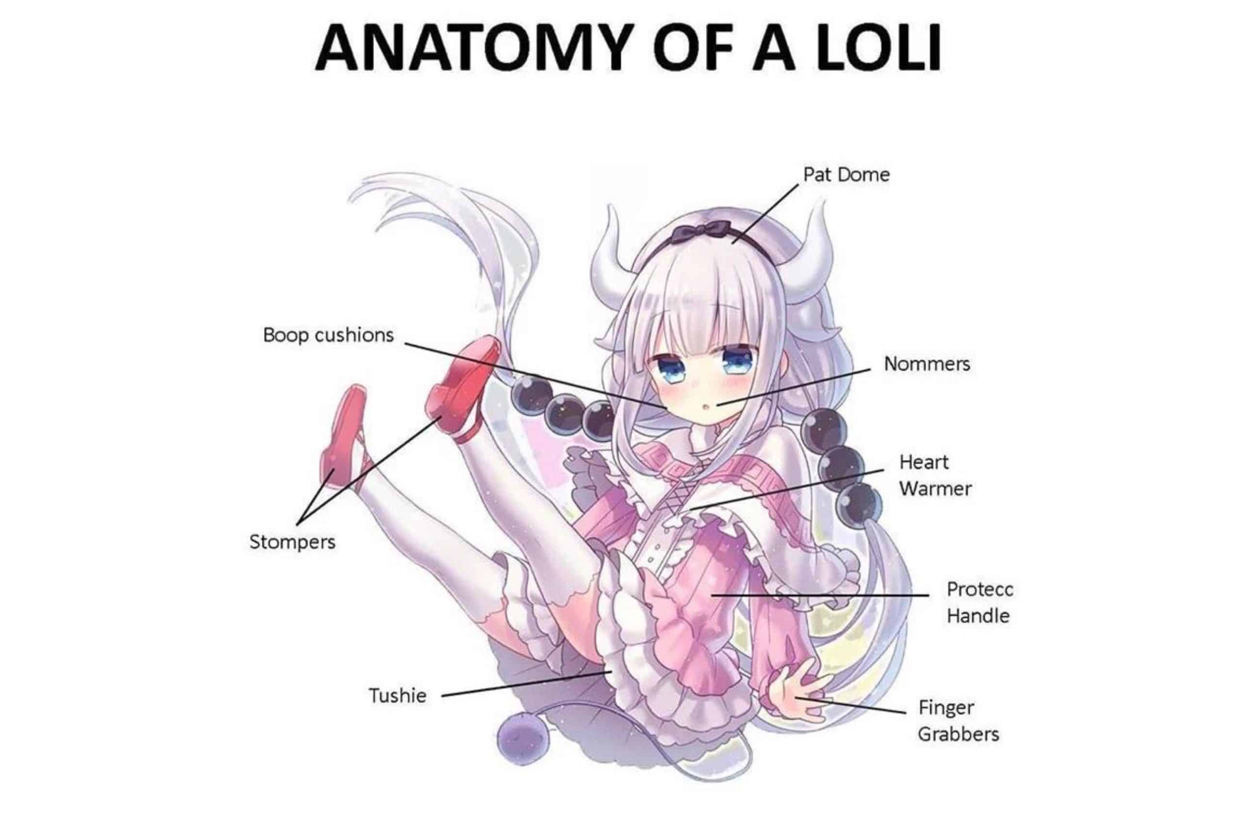 anatomy diagram of a lolicon character