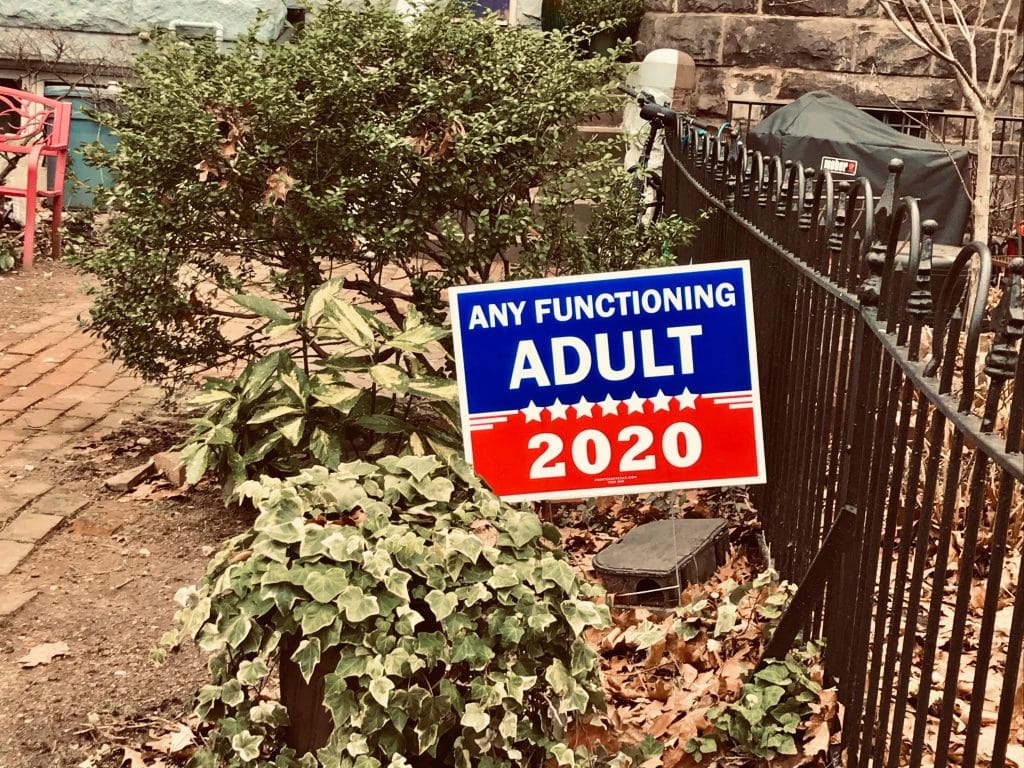 A photo of someone's yard with the sign "Any Functioning Adult 2020"