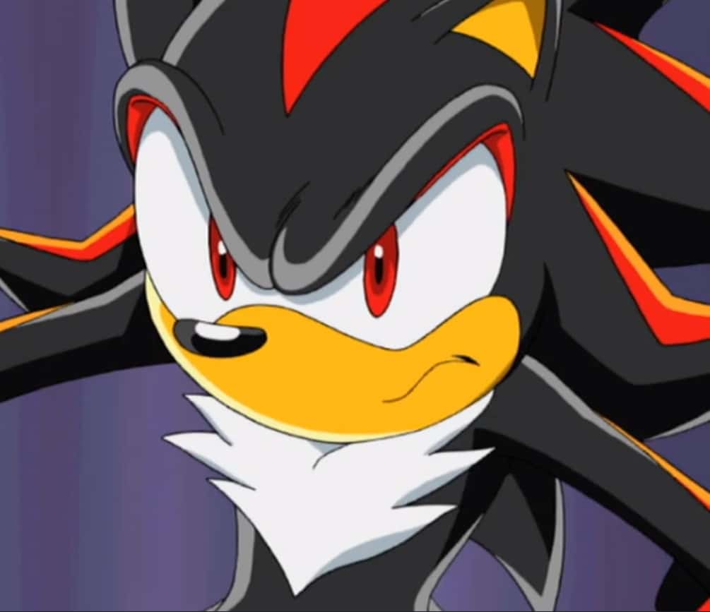 Shadow from Sonic X show is glaring at you.