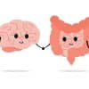 Connection of cute healthy happy brain and intestine gut characters.