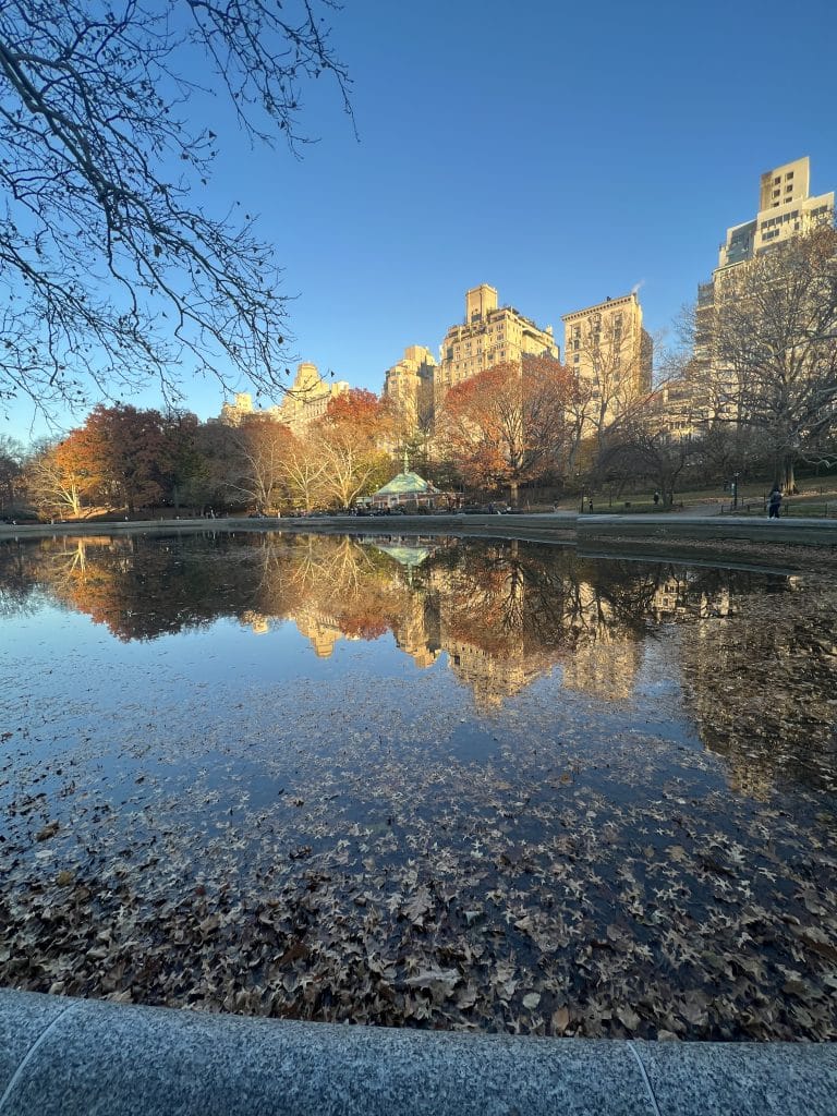 central part in NYC