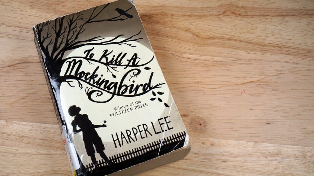 To Kill a Mockingbird book