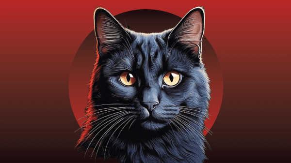 A picture of a black cat from the book We Solve Murders by Richard Osman