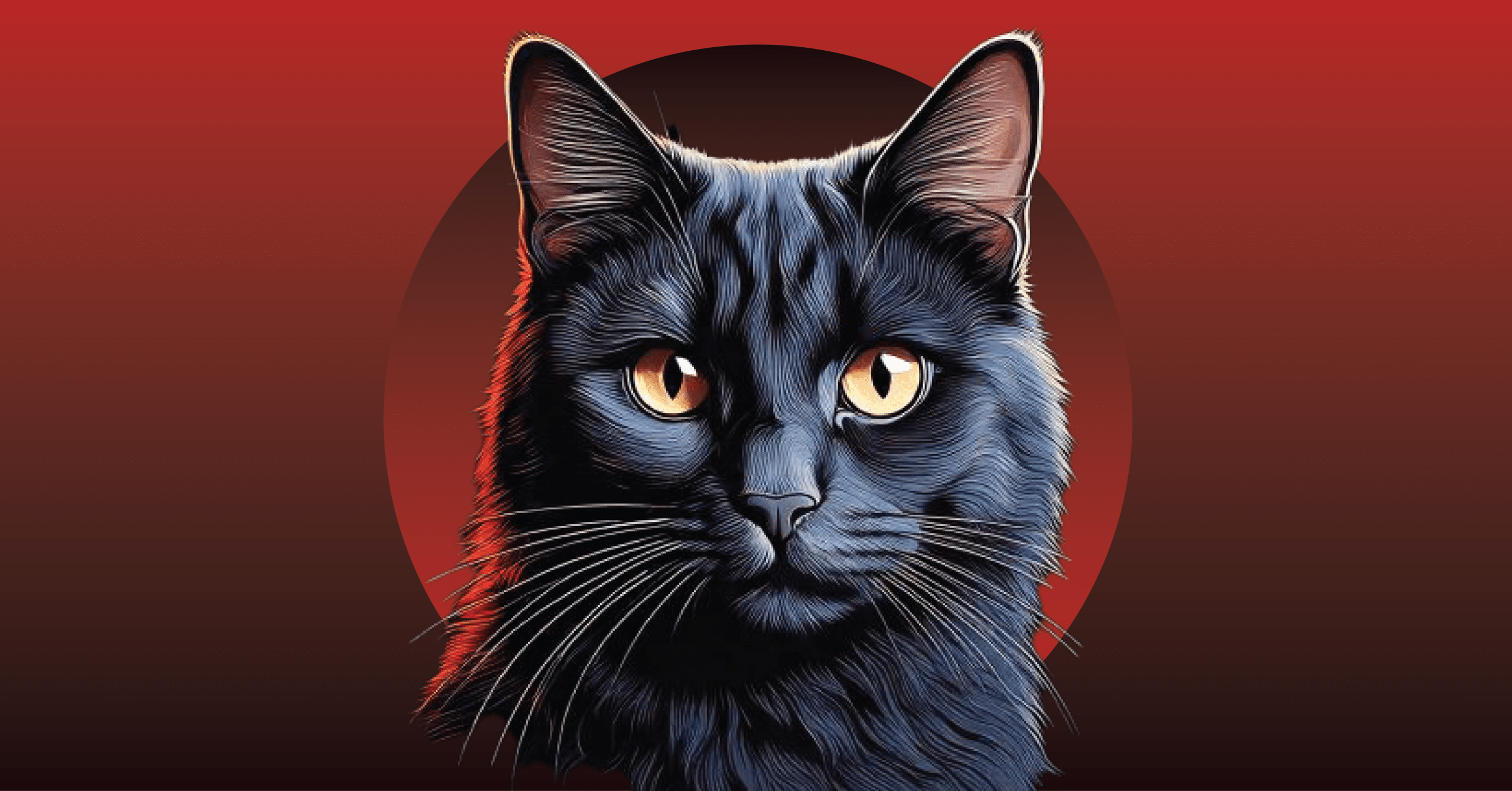 A picture of a black cat from the book We Solve Murders by Richard Osman