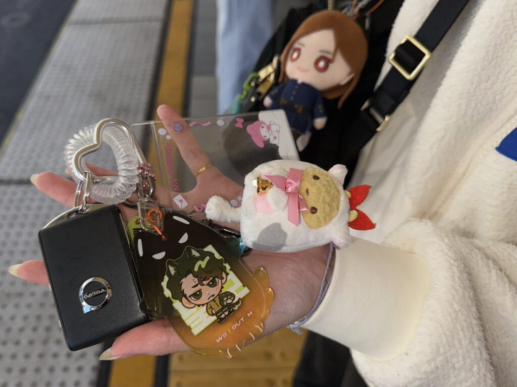 A picture of a friend's keychain stack.