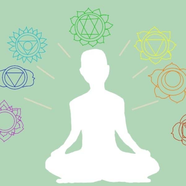 The Chakras