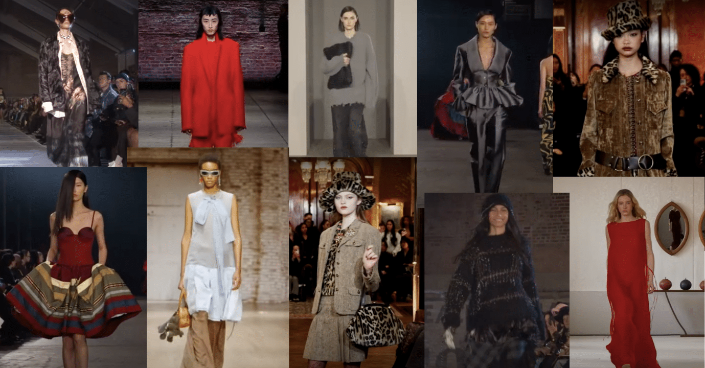 Article featured image, snapshots from NYFW