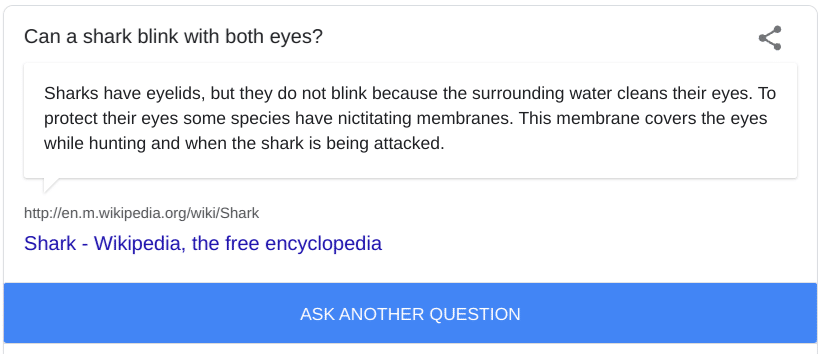 i'm feeling curious google - Can a shark blink with its eyes? Can a shark blink? Answer:
No, sharks do not blink