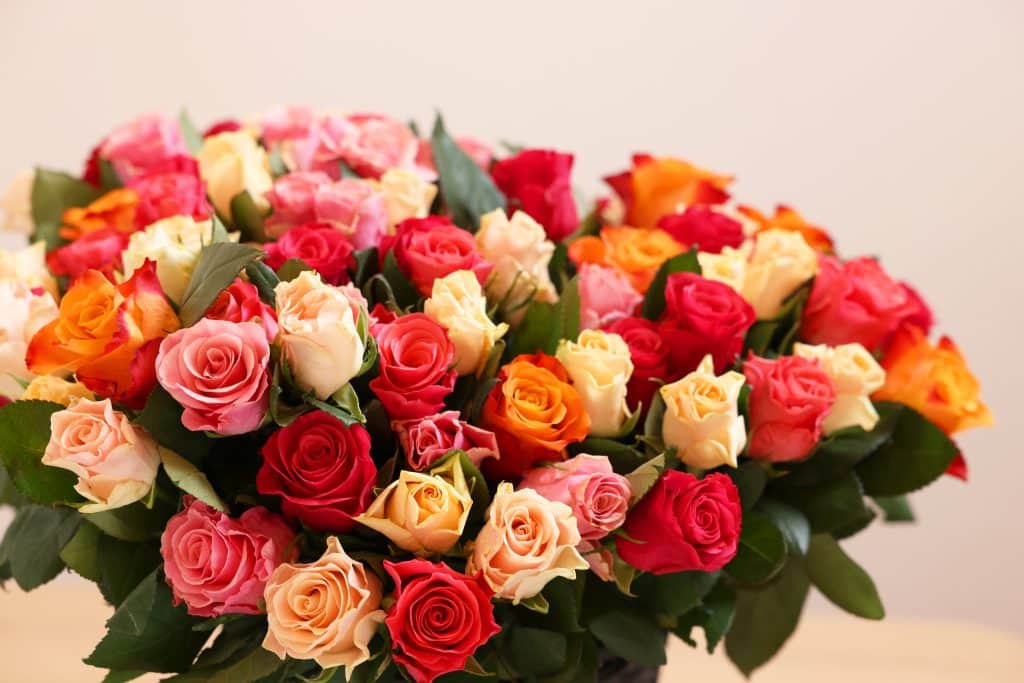 Bouquet,Of,Beautiful,Roses,On,Light,Background