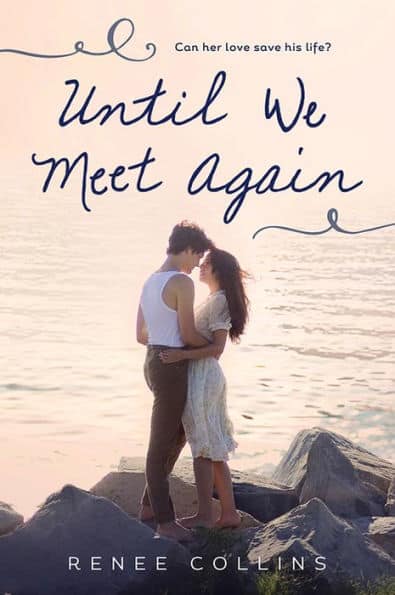 Until We Meet Again by Renee Collins, a cute spring/summer romance novel