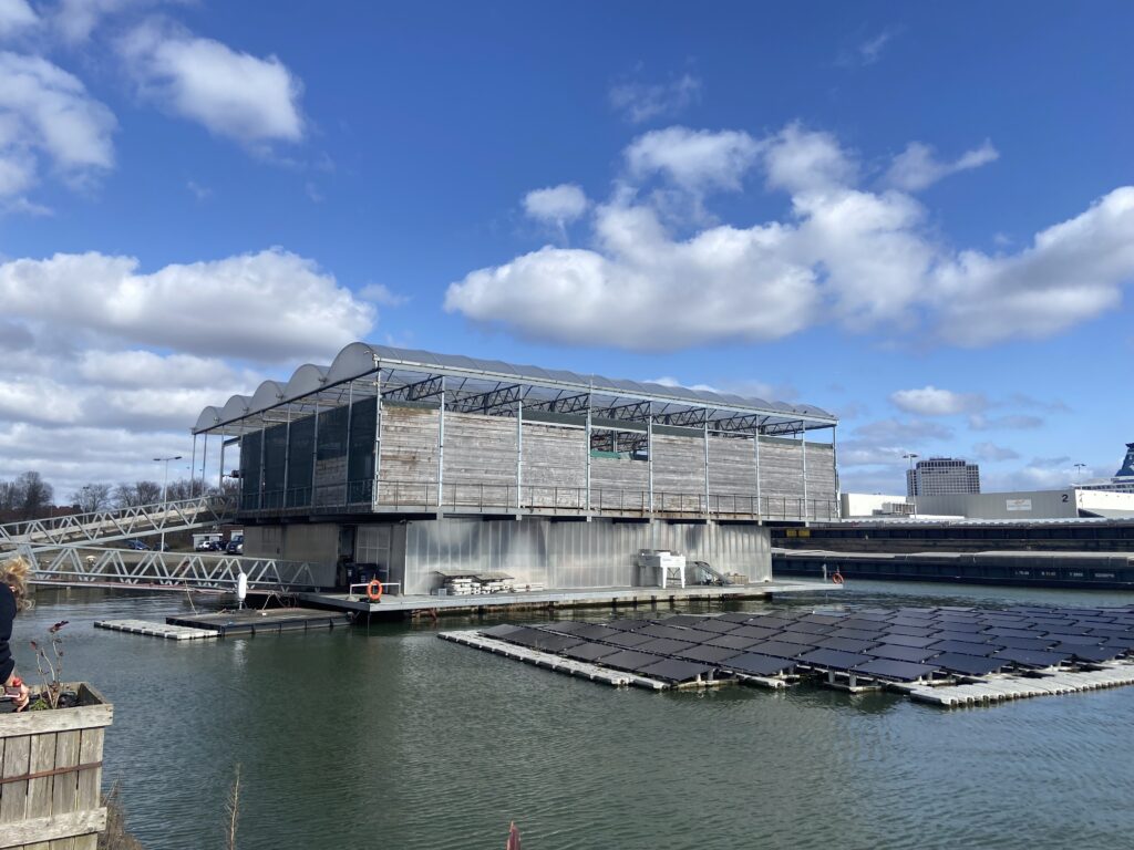 Floating solar panels next to the Floating Farm.