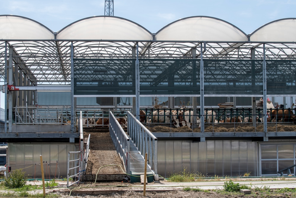 The Floating Farm in Rotterdam, The Netherlands.
