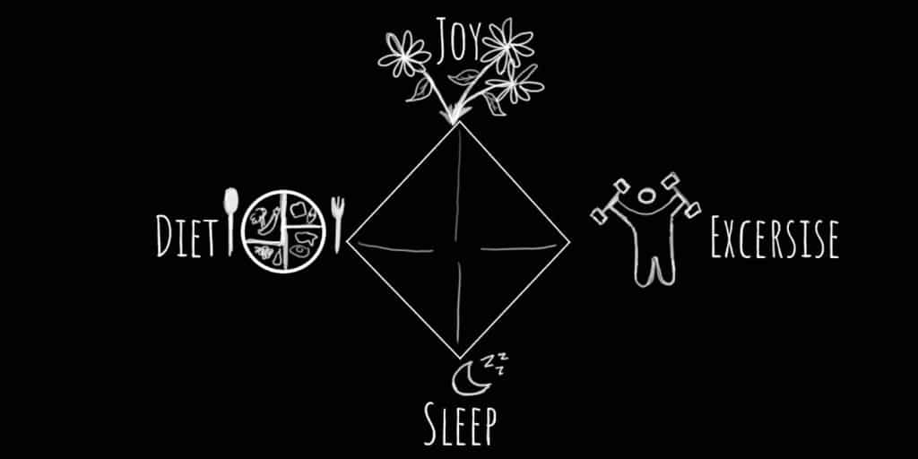 A diagram of a diamond with the four corners labelled - (from the top, in clockwise direction) joy, exercise, sleep, and diet.