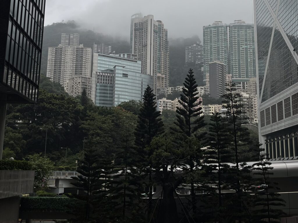 Another cool photo that depicts both nature and skyscrapers in the city. Photo credit: Catherine Furby