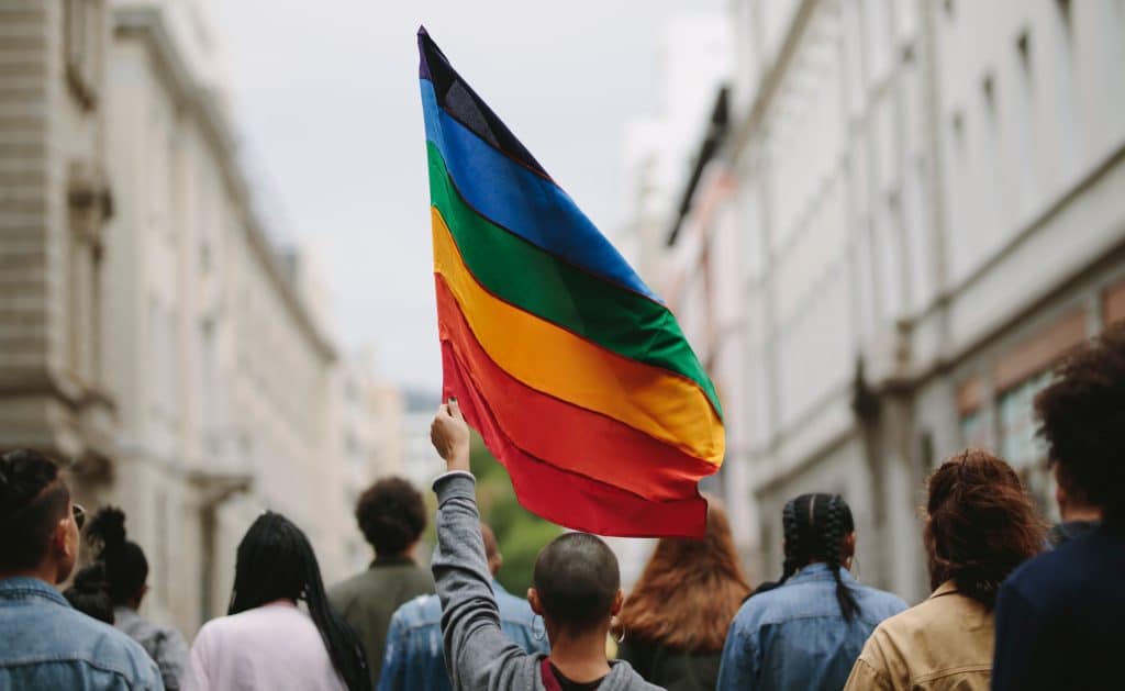 A person facing away from the camera holds a pride flag over a crowd.