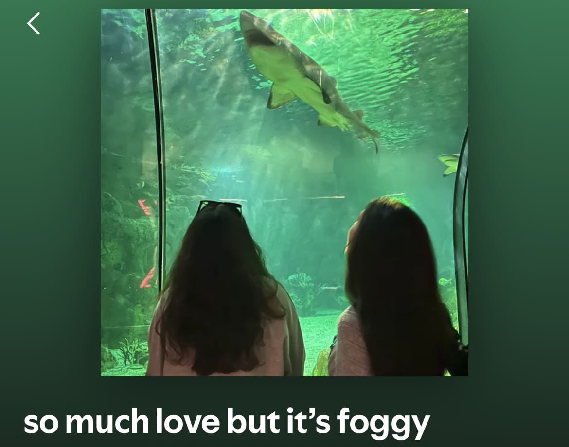 This screenshot is from Spotify of a highly specific playlist I made that is featured in this article