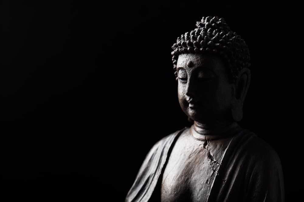 meditating buddha, ideas, intellectual responsibility