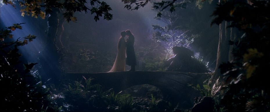 Arwen and Aragorn sharing a kiss in a romantic scene from "The Fellowship of the Ring." It looks like an idyllic and fantastical depiction of love.